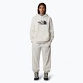 Women's The North Face Drew Peak Pullover Hoodie weiß dune 2