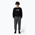 Herren Sweatshirt The North Face Drew Peak Crew schwarz 2