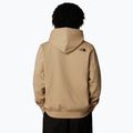 Herren The North Face Drew Peak Pullover Hoodie khaki Stein 3