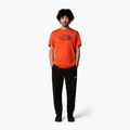 The North Face Herren T-Shirt "Easy" in Karmesinorange/Alpenpflaume 2