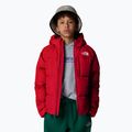 Kinder Daunenjacke The North Face North Down Hooded rot 4