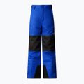 The North Face Freedom Isolierte Skihose für Kinder, blau 4