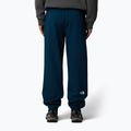 Herrenhose The North Face Varsity Grafik Mitternacht petrol 3