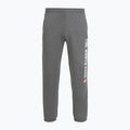 Herrenhose The North Face Varsity Graphic mittelgrau heather