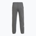 Herrenhose The North Face Varsity Graphic mittelgrau heather 2