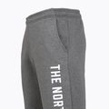 Herrenhose The North Face Varsity Graphic mittelgrau heather 3