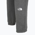 Herrenhose The North Face Varsity Graphic mittelgrau heather 4