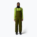 Skihose Herren The North Face Verbier GTX Bib forest olive