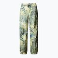 Skihose Herren The North Face Build Up nettle the lift print 4