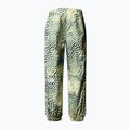 Skihose Herren The North Face Build Up nettle the lift print 5