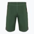 Quiksilver Saturn Flight 20" Forest Herren-Badeshorts 7
