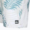 Quiksilver Wild Fern Volley 17" Männer schwimmen Shorts 3