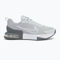 Herren-Trainingsschuhe Nike Air Max Alpha Trainer 6 cool grey/wolf grey/pure platinum/white 2