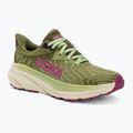 Damen Laufschuhe HOKA Challenger ATR 7 forest floor/beet root