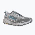 Laufschuhe Herren Hoka Speedgoat 6 GTX stardust/outer orbit 8