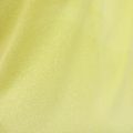 Laufshirt Herren HOKA Race Singlet hoka citrus 9