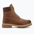 Herrenschuhe Timberland 6In Premium brown 2