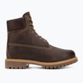 Herrenschuhe Timberland 6In Premium brown 2