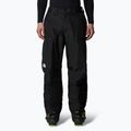 Skihose Herren The North Face Dawnstrike GTX black/npf