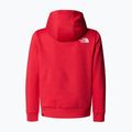 Kinder Sweatshirt The North Face Teen Simple Dome Hoodie Hibiskus 2