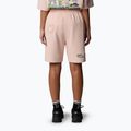 The North Face Mountain Cleanup Entspannt rosa Moos Shorts 3