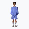 The North Face Mountain Cleanup Sweatshirt über virtuelle blau 2