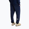 Herren-Trekkinghose The North Face Simple Dome Light Regular Tapered Jogger summit navy 3