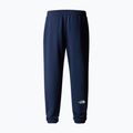 Herren-Trekkinghose The North Face Simple Dome Light Regular Tapered Jogger summit navy 5