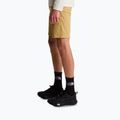 Herren-Trekkingshorts The North Face Lightning SHT khaki stone/npf 4