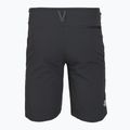 Herren-Trekkingshorts The North Face Speedlight Slim Tapered Short asphalt grey/npf 2