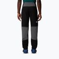 Herren-Trekkinghose The North Face Stolemberg Convertible Slim Tapered anthracite grey/tnf black 3