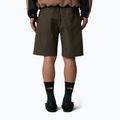 Herren-Shorts The North Face Limestone new taupe green 3