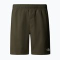 Herren-Shorts The North Face Limestone new taupe green 4