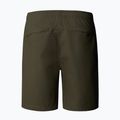 Herren-Shorts The North Face Limestone new taupe green 5