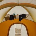 Campingzelt 4-Personen The North Face Wawona 4P light exuberance orange/ timber tan/ new taupe green 12
