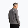 Herrenpullover The North Face Kecha Crew smoked pearl/asphalt grey 3