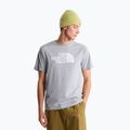 Herren-Shirt The North Face Evolution Half Dome tnf pale grey heather