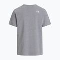 Herren-Shirt The North Face Evolution Half Dome tnf pale grey heather 5