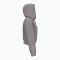 Damen Sweatshirt Hoodie Pullover Under Armour Pro Fleece Hoodie tetra gray/white 3