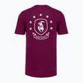 Trainings-T-Shirt Herren Under Armour Project Rock Badge Of Honor purple 4
