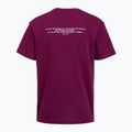 Trainings-T-Shirt Herren Under Armour Project Rock Terry Q3 purple 2