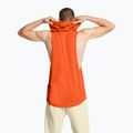 Trainings-T-Shirt Herren Under Armour Project Rock Payoff SL HD orange 2
