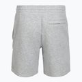 Under Armour Icon Fleece Herrenshorts mod gray light heather/white 4
