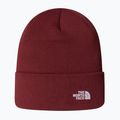 Wintermütze The North Face Norm Beanie sumac