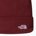 Wintermütze The North Face Norm Beanie sumac 2