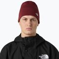 Wintermütze The North Face Norm Beanie sumac 3