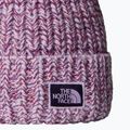 Herren Wintermütze The North Face Cozy Chunky Cabin Lite Lilac/Peak Purple 2
