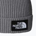 Wintermütze Kinder The North Face Logo Box Cuffed 2