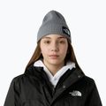 Wintermütze Kinder The North Face Logo Box Cuffed 3
