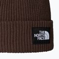 The North Face Salzige gefütterte Wintermütze 2